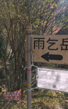 【日帰り登山】雨乞岳・イブネ・クラシ　武平トンネル登山口