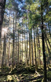 【日帰り登山】八ヶ岳　美濃戸登山口から赤岳