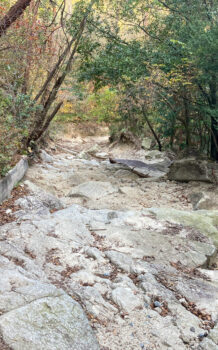 【日帰り登山】猿投山　海上の森センターから登る猿投山　地味に体力勝負