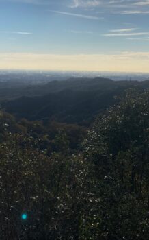 【日帰り登山】猿投山 やらかした 日が暮れて焦りまくりで下山