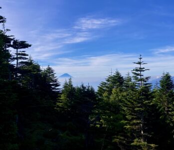 【登山】八ヶ岳縦走 2泊3日　②日目 青年小屋からオーレン小屋まで