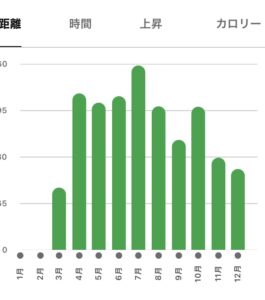 【ランニング】素人が月間走行距離200kmを目標に走り続けてみた 今年一年の振り返り