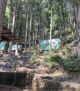 【日帰り登山】昼過ぎから登る 愛知県民の森から上臈岩を往復